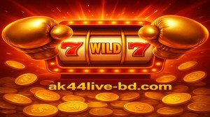 AK44 Live
